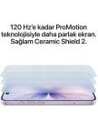 Apple iPhone 17 512 GB Sis Mavisi